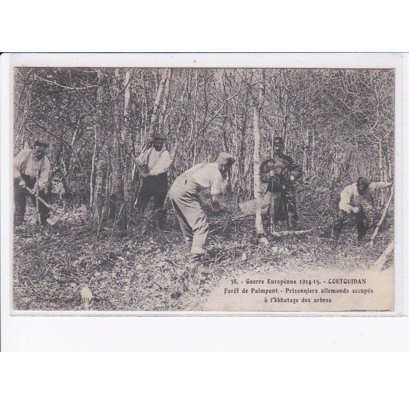 COETQUIDAN: guerre européenne 1914-1915 forêt de pâimpont, prisonniers allemands occupés à l'abbatage arbres - tbé