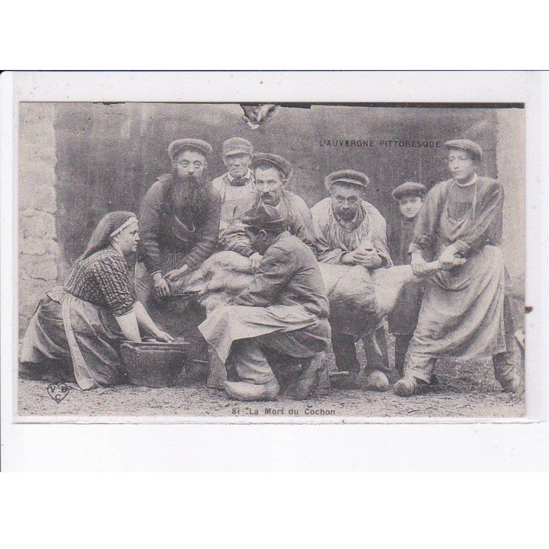 PUY-de-DÔME: la mort du cochon - très bon état