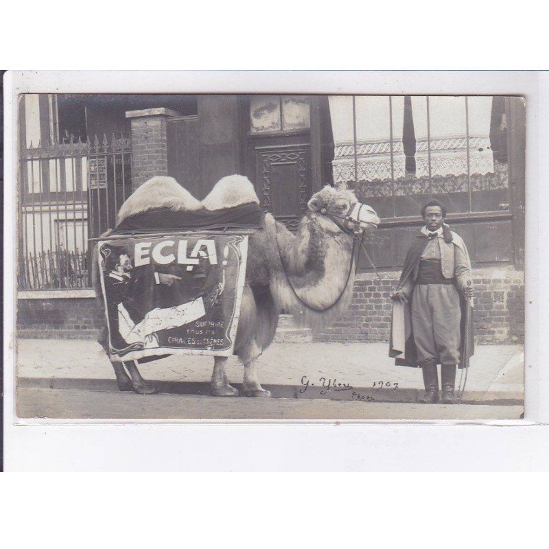 PUBLICITE : carte photo d'un dromadaire "publicitaire pour le cirage ECLA - état