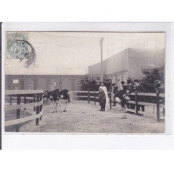 PARIS: exposition coloniale au grand palais 8CPA - très bon état