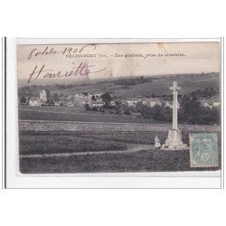 DELINCOURT : vue generale, prise du cimetiere - tres bon etat