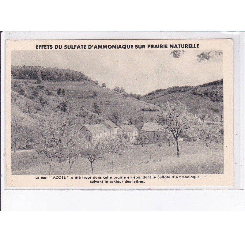 ORLEANS: le mot "azote" a été tracé dans cette prairie en épandant le sulfate d'ammoniaque - très bon état