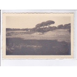 SAINT-RAPHAEL-VALESCURE: golf hôtel, 10CPA - très bon état