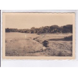 SAINT-RAPHAEL-VALESCURE: golf hôtel, 10CPA - très bon état