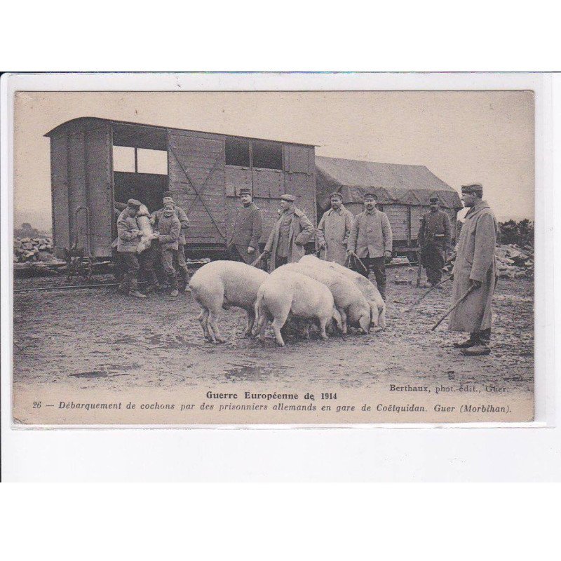 GUER: guerre 1914 débarquement de cochons par des prisonniers allemands en gare de coëtquidan - très bon état