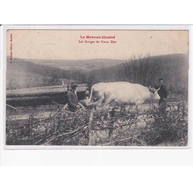 NIEVRE: les gorges du vieux dun - état