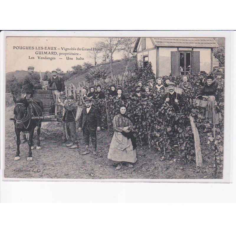 POUGUES-les-EAUX: vignoble du grand hôtel Guimard, les vendanges, une halte - état