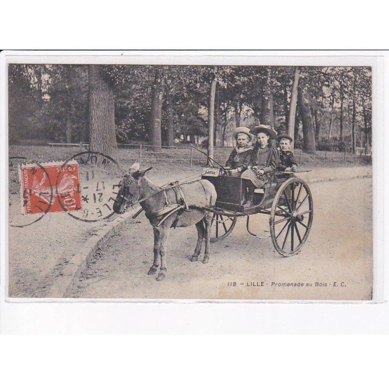 LILLE: promenade au bois - état