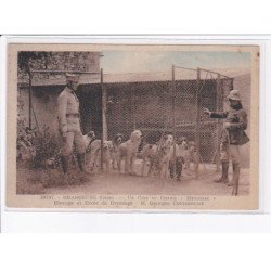 BRASSEUSE: un coin du chenil "merignac" elevage et école de dressage, M. Georges Cotterousse - très bon état