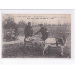 CONCHY-les-POTS: bouc trouvé à beuvraignes et dressé par les ambulanciers pour porter le rhum - très bon état