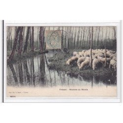FREVENT : moutons au marais - etat