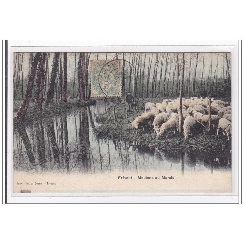 FREVENT : moutons au marais - etat