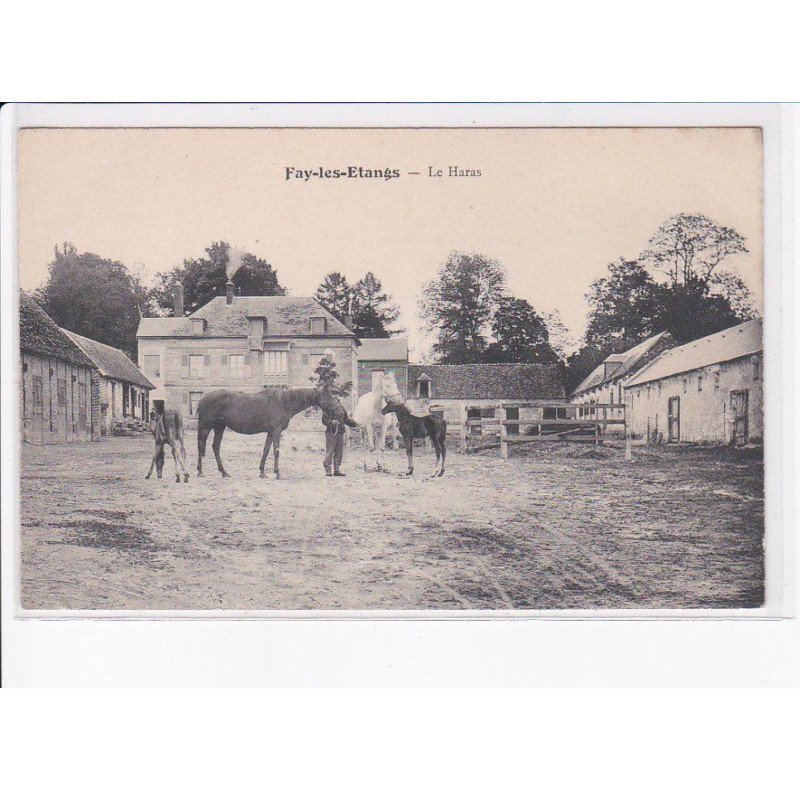 FAY-les-ETANGS: le haras - état