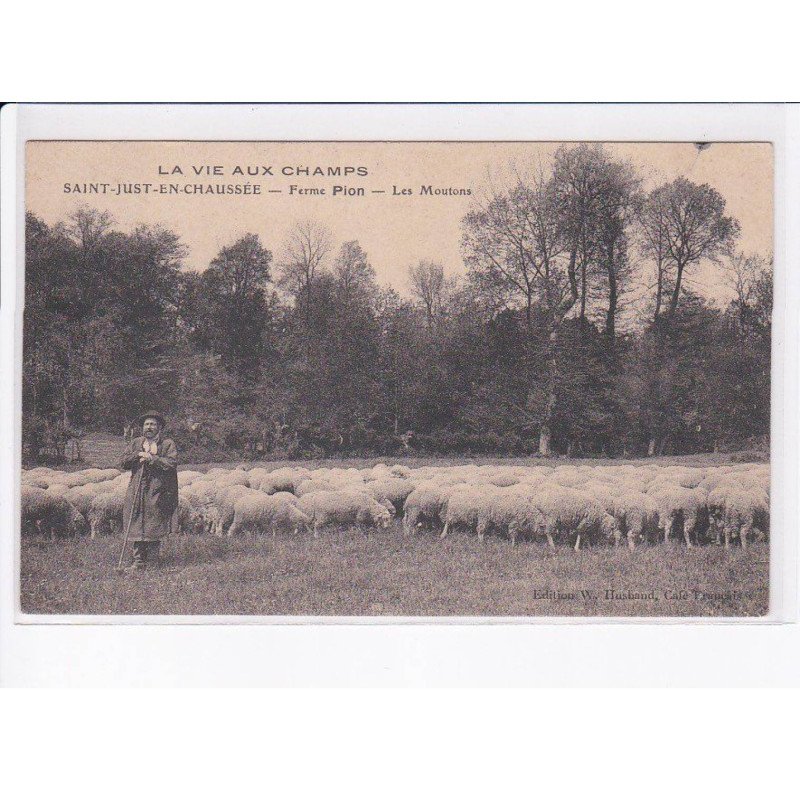 SAINT-JUST-en-CHAUSSEE: ferme pion, les moutons - très bon état