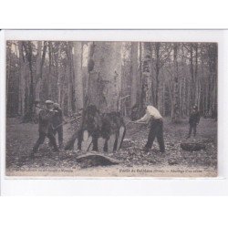 BELLÊME: abattage d'un arbre - très bon état