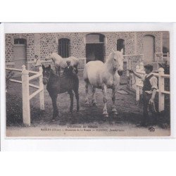 MASLES: domaine de la ronce, girone, jument suisse - très bon état