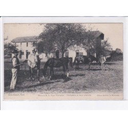 SAINT-LEONARD-des-PARCS: les rouges-terres, haras à M. L. Orly roedemer, poulinières et poulains - très bon état