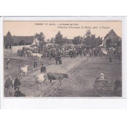 PIONSAT: le champ de foire - état