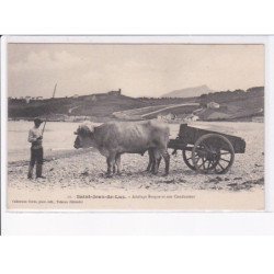 SAINT-JEAN-DE-LUZ: attelage basque et son conducteur - très bon état