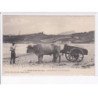 SAINT-JEAN-DE-LUZ: attelage basque et son conducteur - très bon état