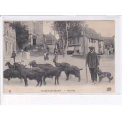 SALIES-de-BEARN: chèvrier - très bon état