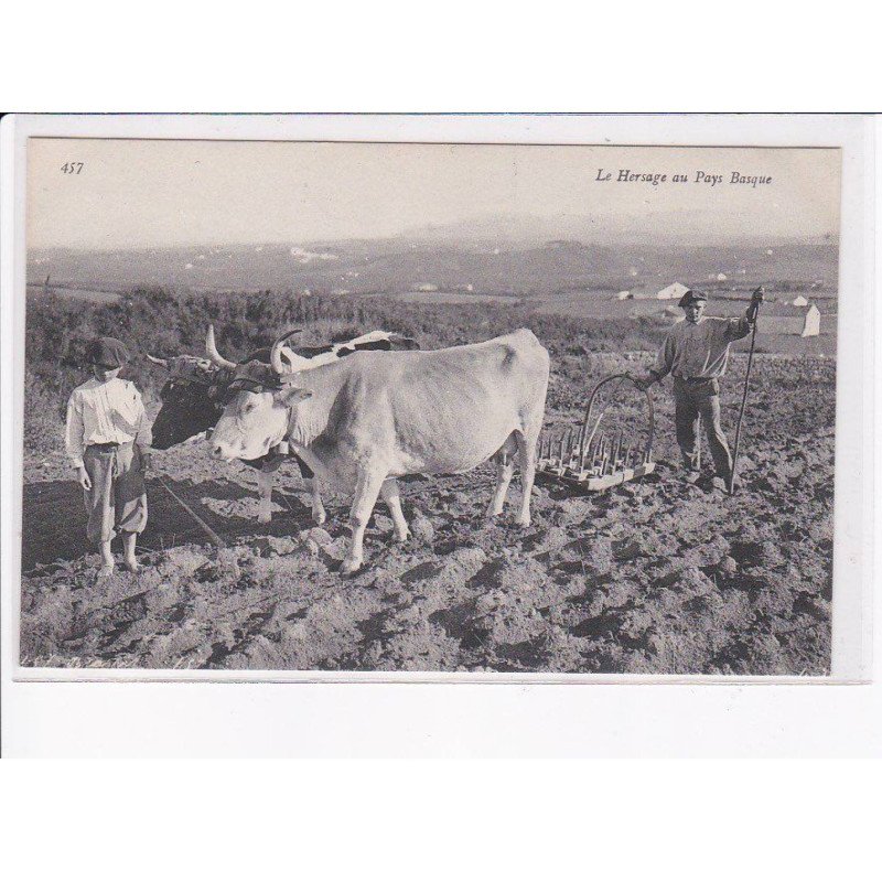 PYRENEES-ATLANTIQUES: le hersage - très bon état