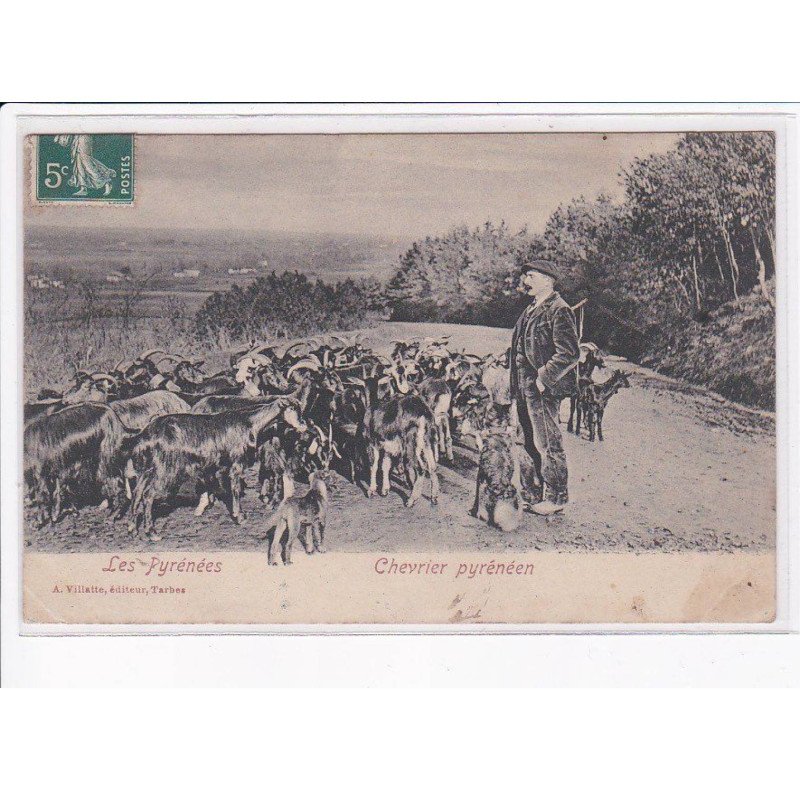 TARBES: chevrier pyrénéen - état