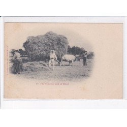 ORTHEZ: la fenaison dans le béarn - très bon état