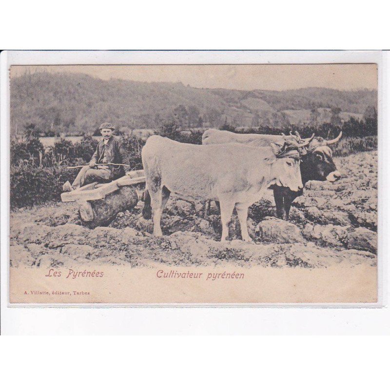TARBES: cultivateur pyrénéen - très bon état