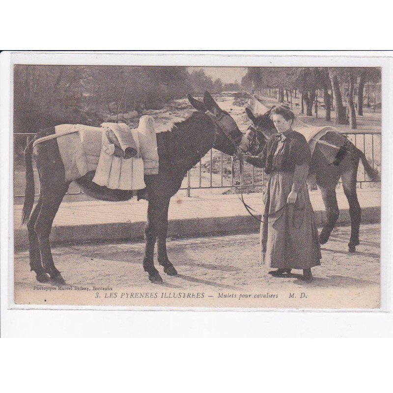 HAUTES PYRENEES: mulets pour cavaliers - très bon état