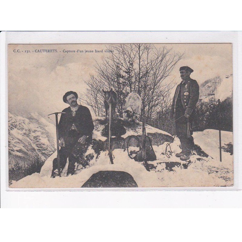CAUTERETS: capture d'un jeune izard vivant - très bon état