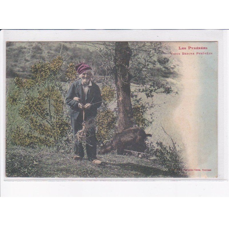 HAUTES PYRENEES: un berger - très bon état