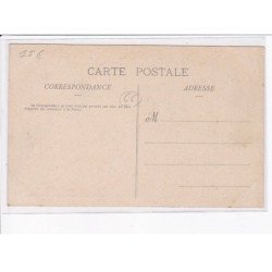 AMELIE-les-BAINS: inondation du 12 octobre 1907, jardins dévastés - très bon état