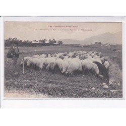 MAUREILLAS: moutons au paturage sur le plateau - très bon état