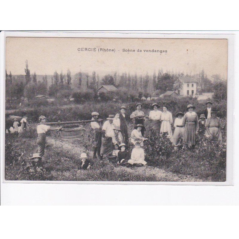 CERCIE: scène de vendanges - très bon état