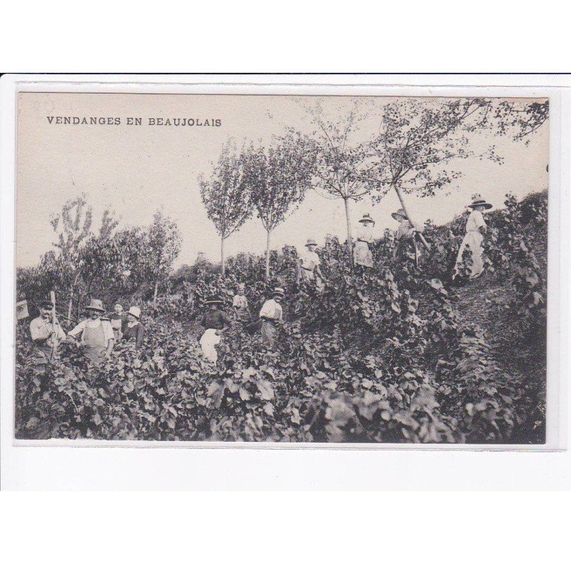 RHONE: vendanges en beaujolais - très bon état