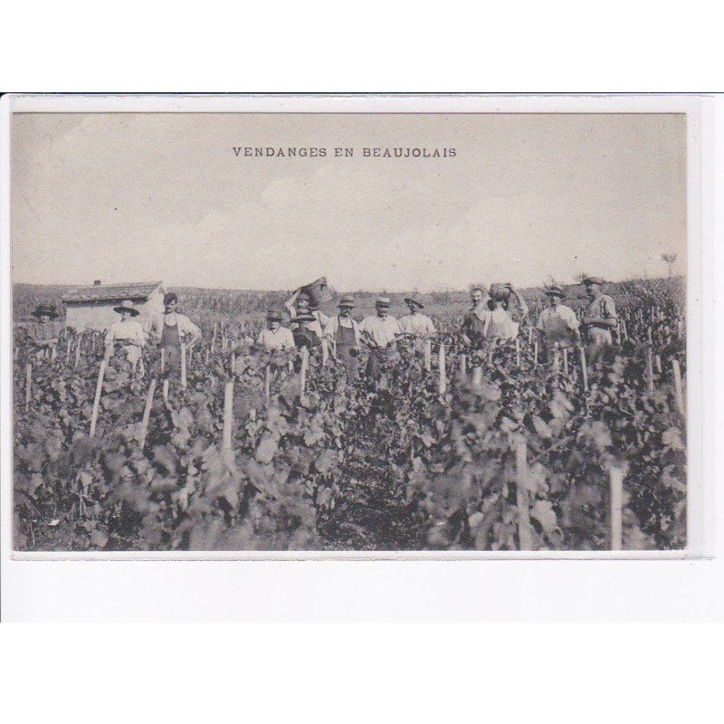 RHONE: vendanges en beaujolais - très bon état