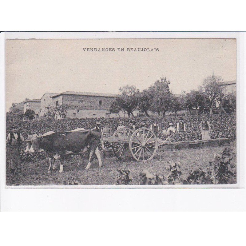 RHONE: vendanges en beaujolais - très bon état