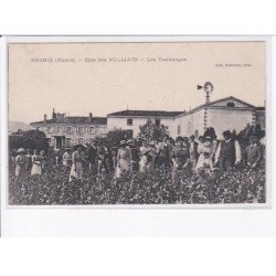 REGNIE: clos des bulliats, les vendages - très bon état