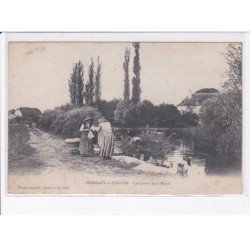 PERRIGNY-sur-POGNON: le lavoir de la digue - état