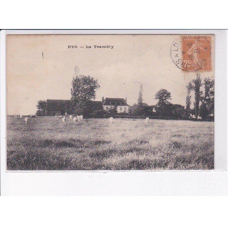 DYO: le trambly - très bon état