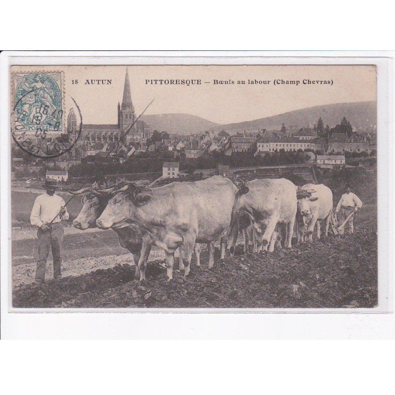 AUTUN: boeufs au labour (champ chevras) - très bon état