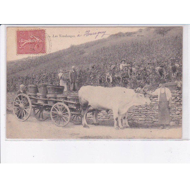 SAONE ET LOIRE: les vendanges, attelage - très bon état