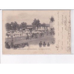 SAINT-CHRISTOPHE-en-BRIONNAIS: le champ de foire - très bon état