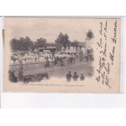 SAINT-CHRISTOPHE-en-BRIONNAIS: le champ de foire - très bon état