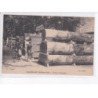 LE MANS: exposition intérieur du mans 1923, section forestière - très bon état