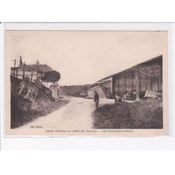 SAINT-PIERRE-de-LOROUER: les champignonnières - état