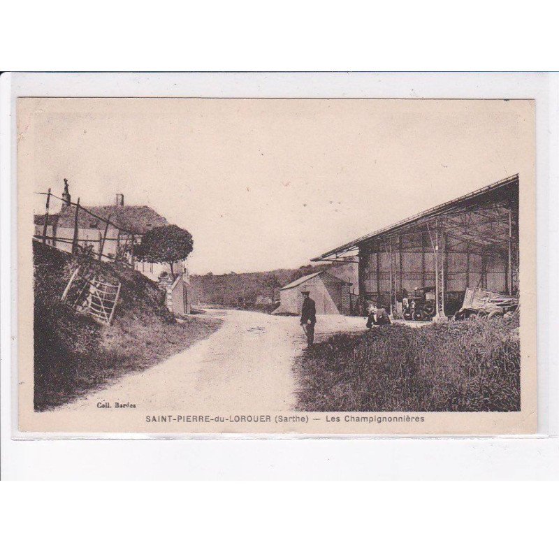SAINT-PIERRE-de-LOROUER: les champignonnières - état