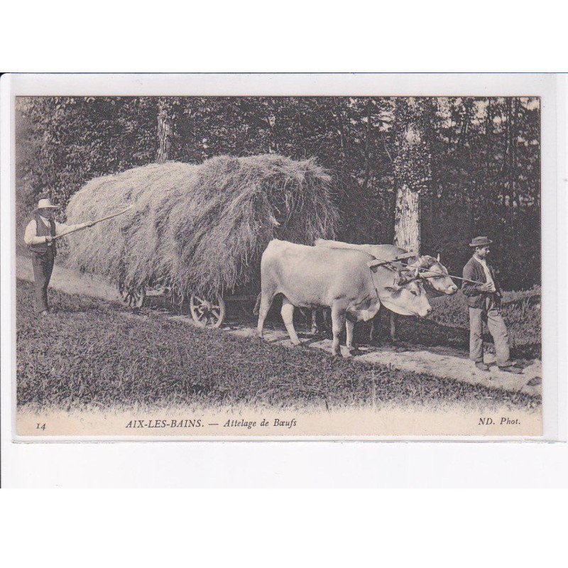 AIX-les-BAINS: attelage de boeufs - très bon état