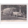 AIX-les-BAINS: attelage de boeufs - très bon état